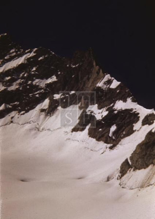 MWH-E0137